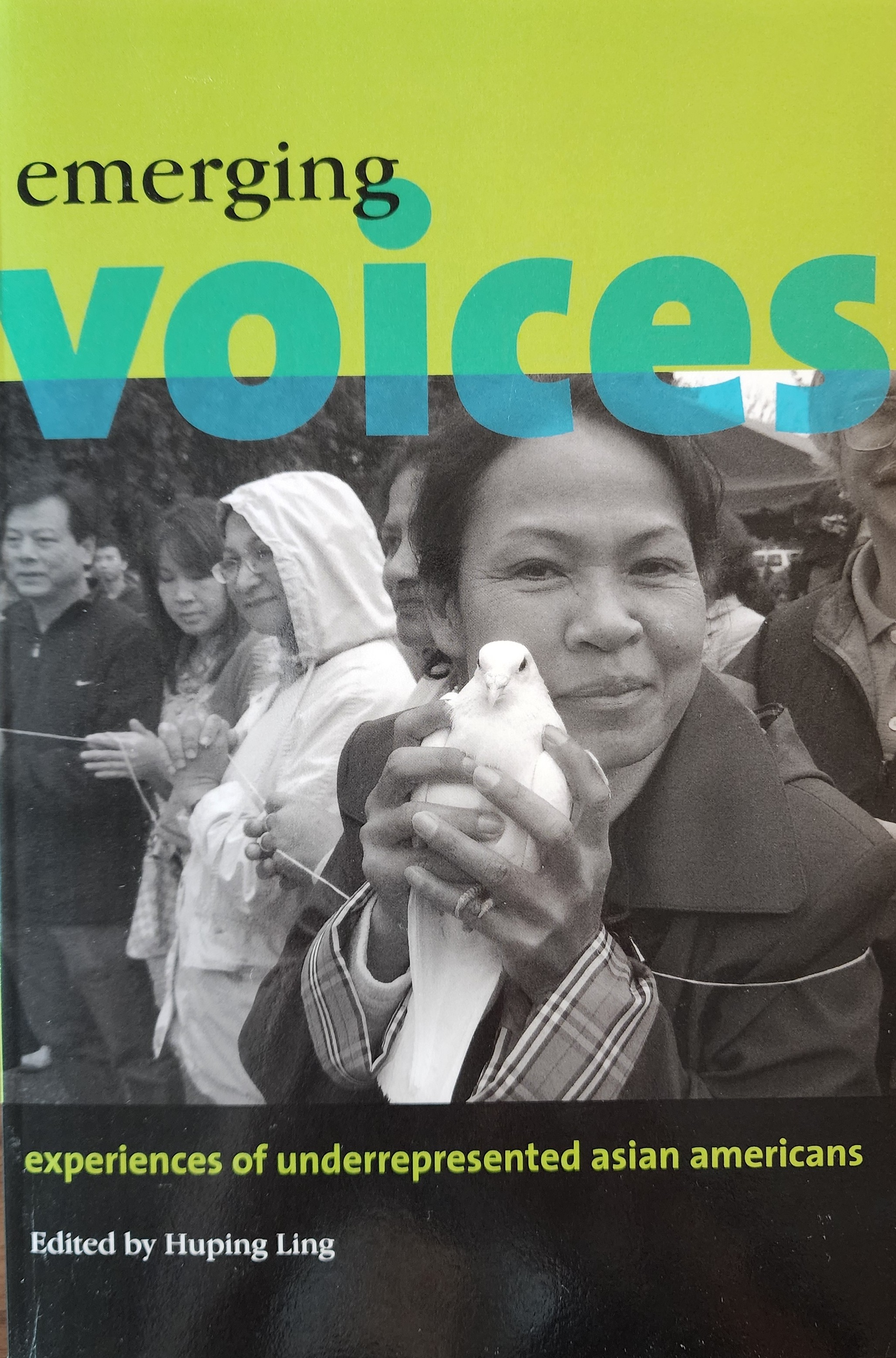 Emerging Voices book cover